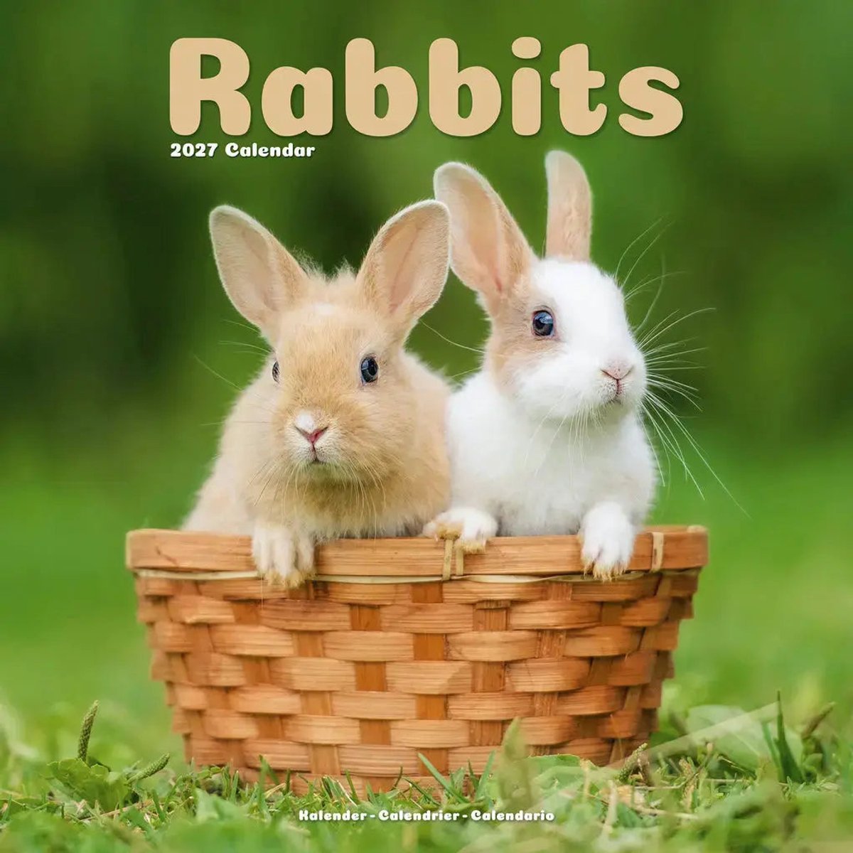 Rabbits Wall / Avonsi