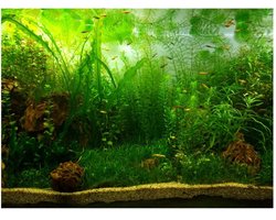 Aquarium achtergrond, aquarium aquarium achtergrond poster PVC lijm decor papier groen water gras aquatische stijl zoals echt (76 x 30 cm)