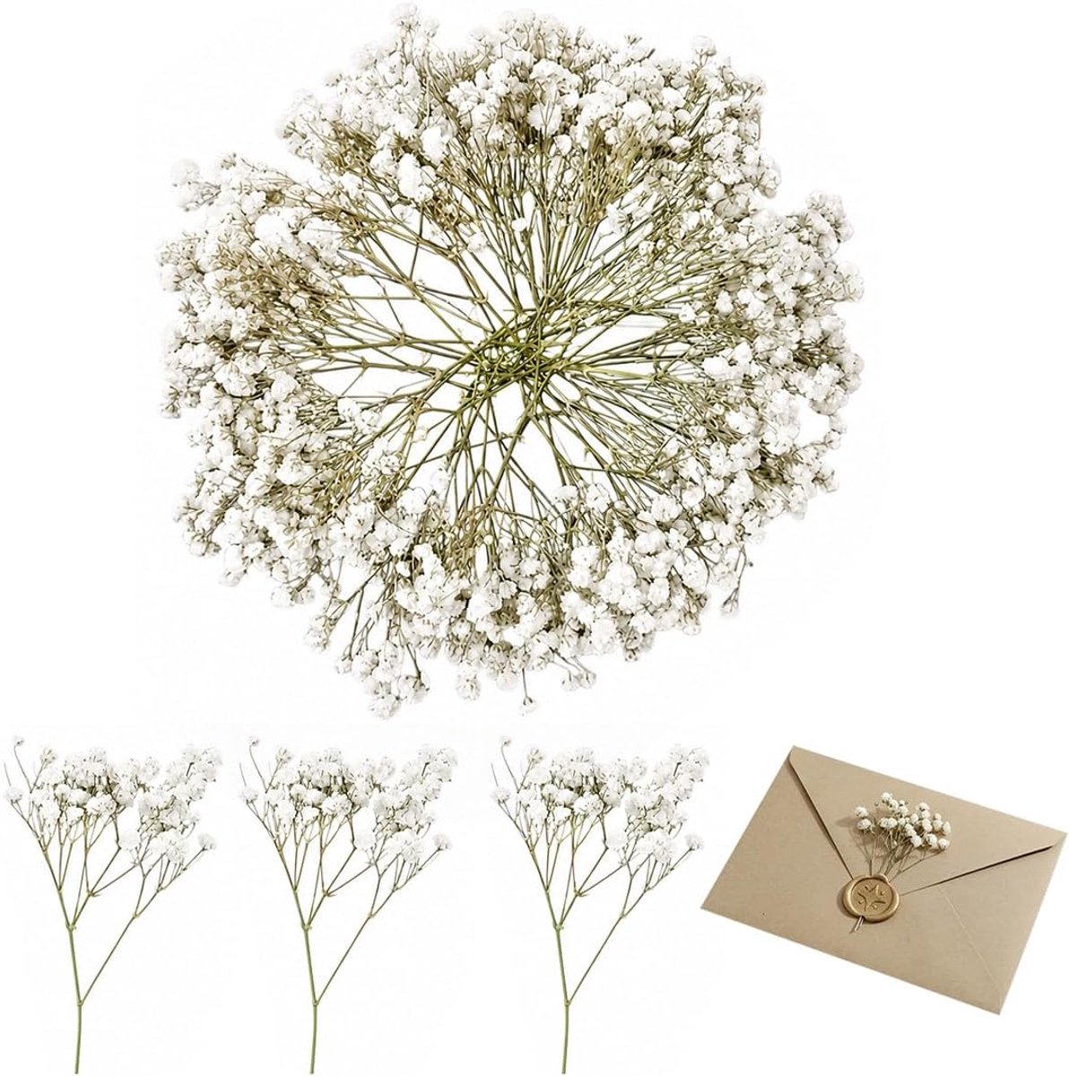 Gedroogde bloemen, 50 stuks voor decoraties, mini-witte gypsophila-bloemen, Gypsophila Gypsophila, gedroogde echte natuur, voor kunsthandwerk, bruiloftsdecoraties