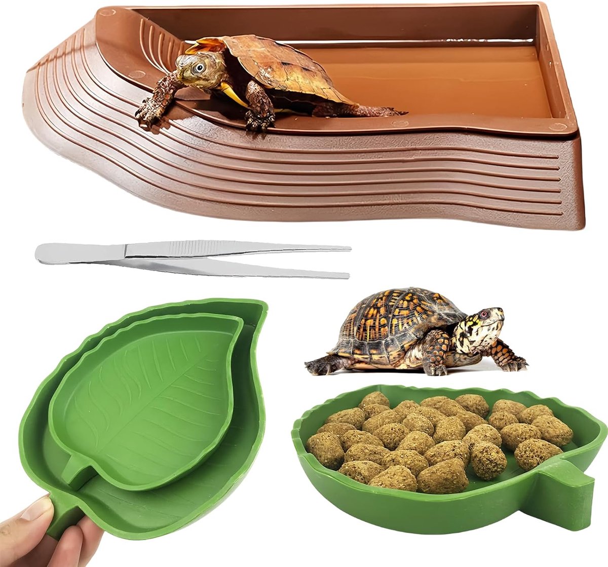 Turtle water bowl set 4-in-1 - met 2 bladeren voederkommen - reptielvriendelijk ontwerp - ShopVlot