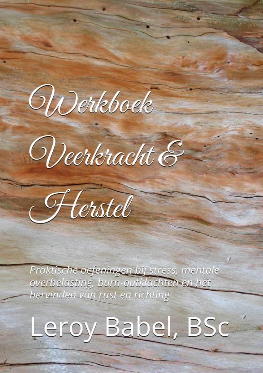 Veerkracht & Herstel: Praktische oefeningen bij stress, mentale overbelasting, burn-outklachten en het hervinden van rust en richting