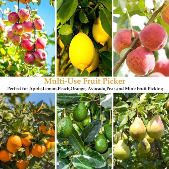 Fruitplukker met steel - Appelplukker Kersenplukker - Fruit Oogsten - Uitschuifbare steel - 2.8 meter - Zilver — afbeelding 2