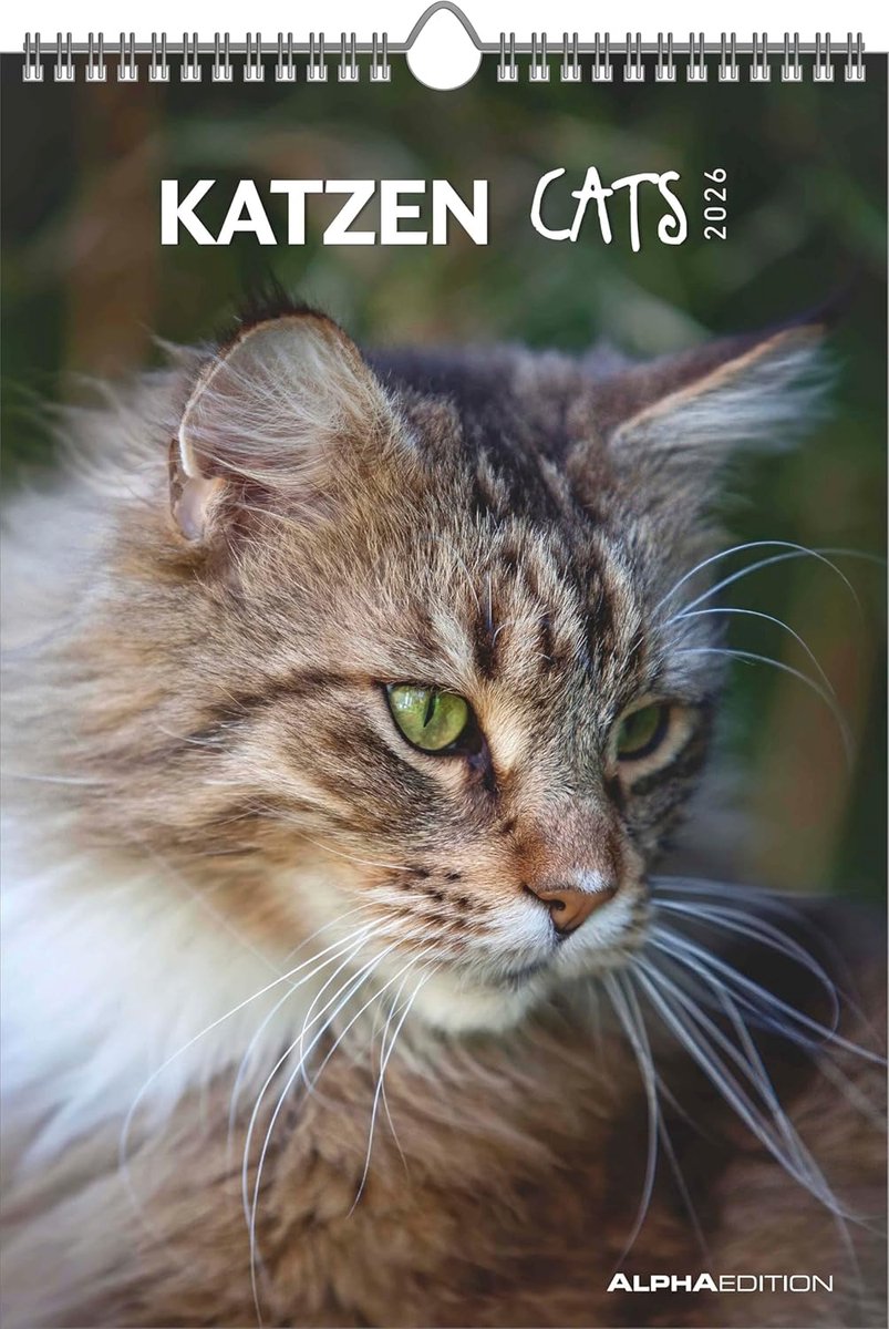 SnelShoppen - Wandkalender 2026 - Decoratieve Katzen Kalender 23,7×34 cm - 4-talige Kalender met Notities - Perfect voor Kattenliefhebbers