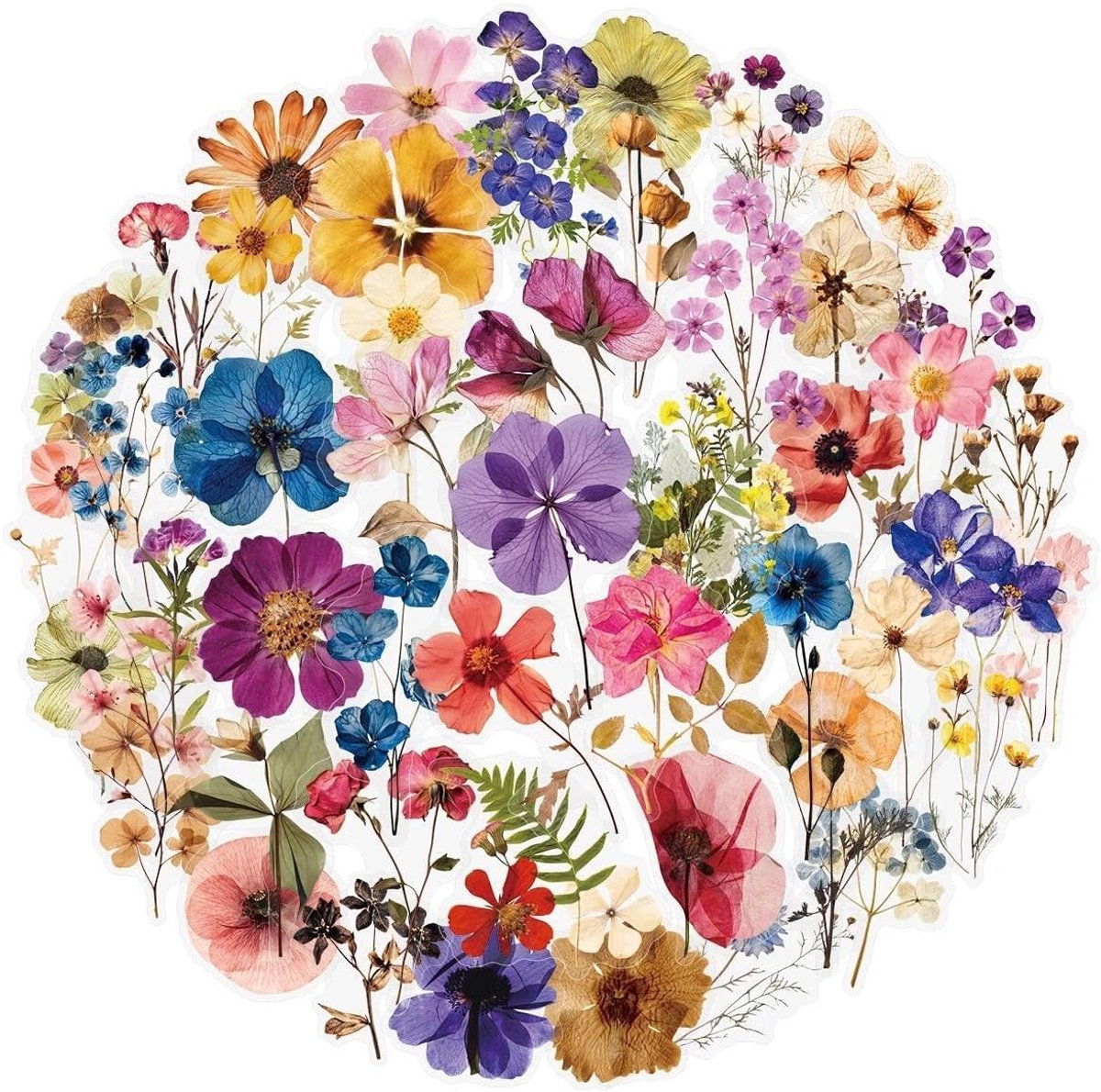 SnelShoppen - 100 Pcs Flower Stickers voor Scrapbooking - Transparante PET Bloemen Stickerset, Natuurlijke Geperste Bloemen Esthetiek voor Dagboek, La