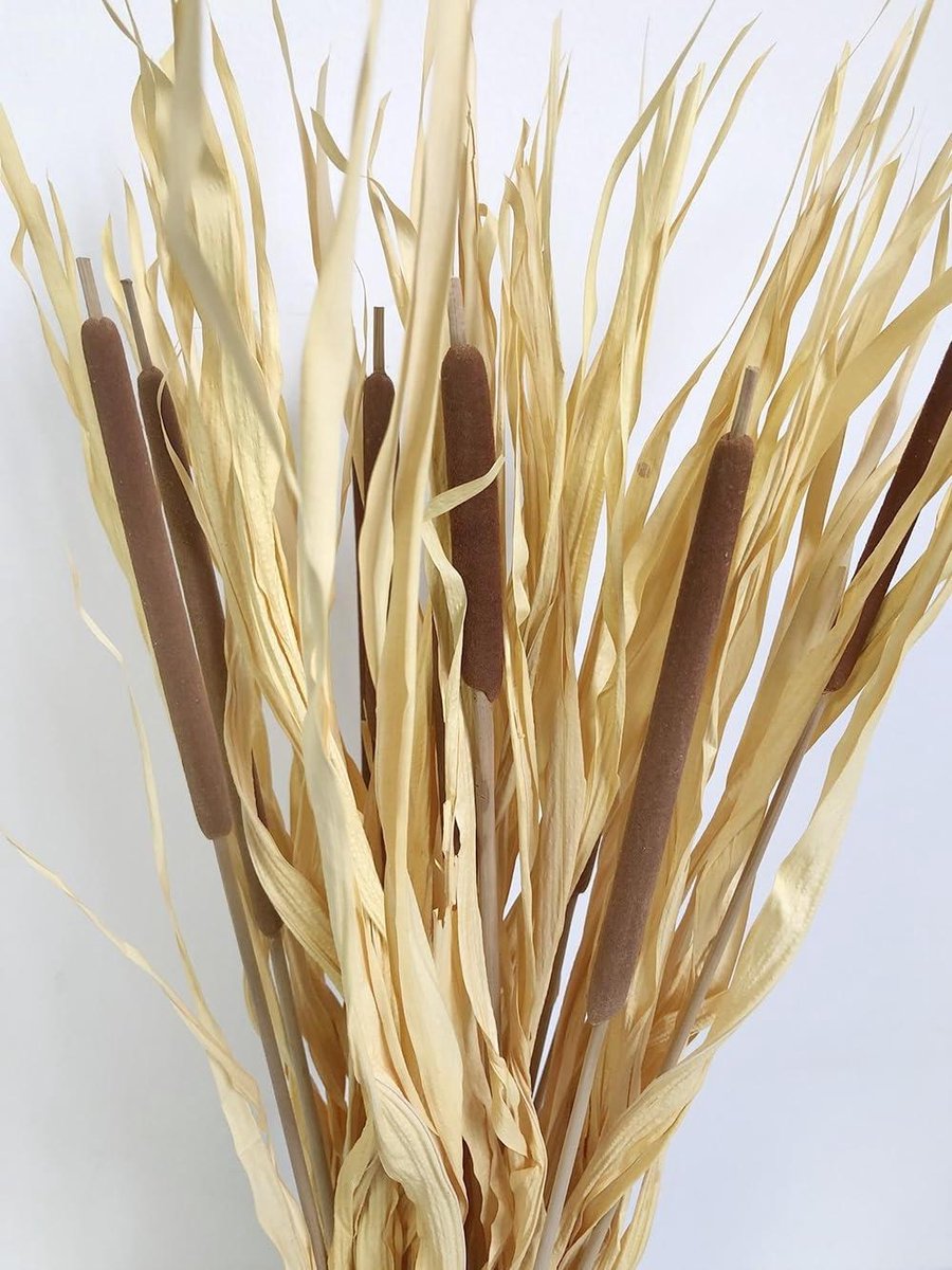 Gedroogde Palmbladeren - Natuurlijke Decoratie - Bohemian Interieur - Handgeplukt Zongedroogd - 22 Inch - Geel
