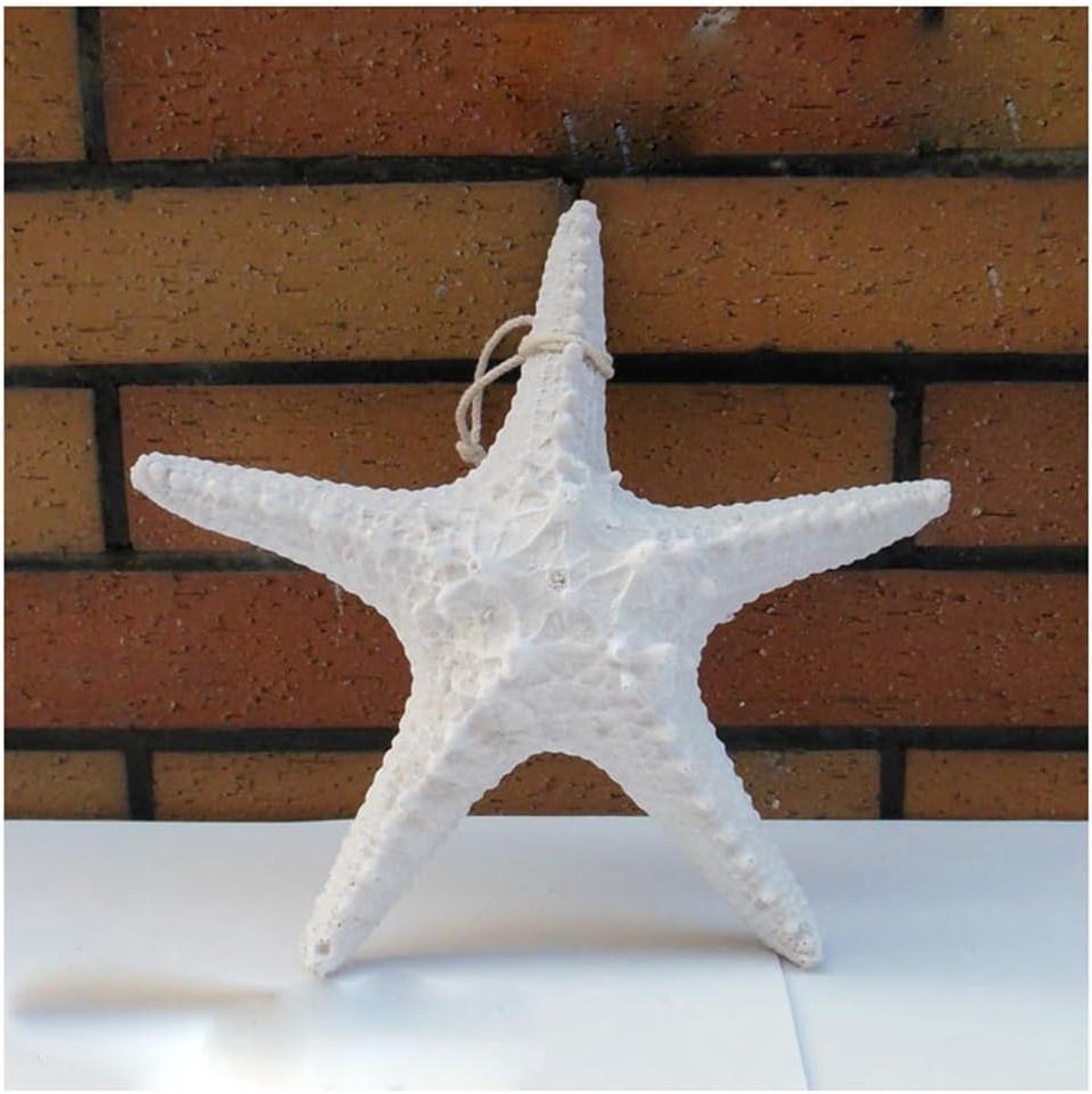 Zeester Decoratie - Wandhanger Ornament - Thuis Opvrolijken - Realistisch Hars Design - 13 cm - Meerdere Kleuren