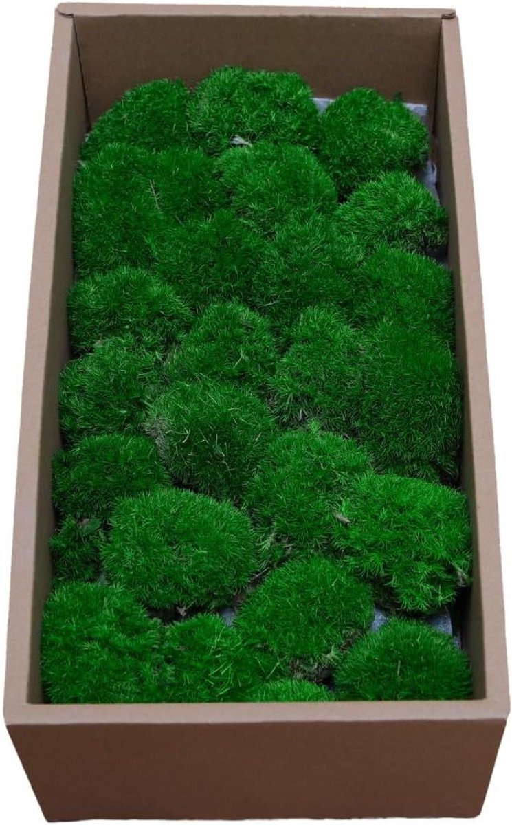 Gedroogd Mos - Echt Decoratie Mos - Hobby Knutselen - Onderhoudsvrij Natuurlijk - 15 m² - Lichtgroen