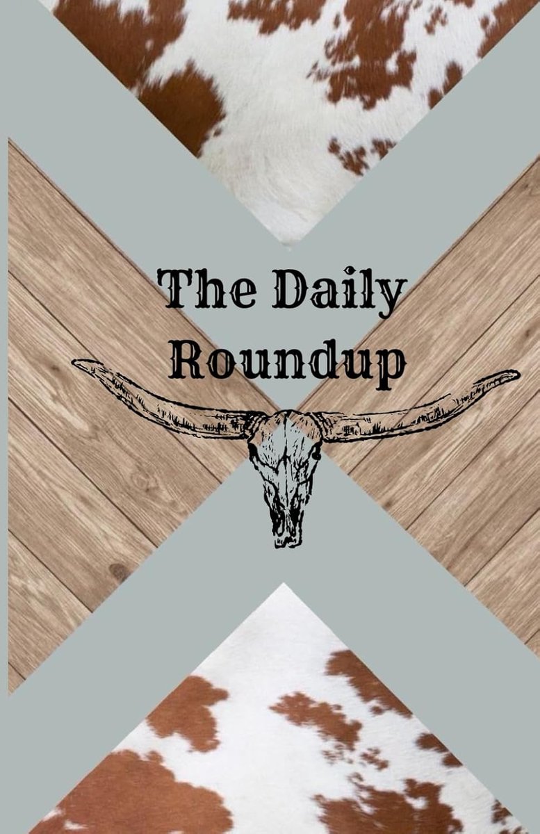 SnelShoppen - The Daily Roundup: Dagelijkse Planner, A5 Formaat, Georganiseerd, Creatief Ontwerp, Ideaal voor Werk, School en Thuis, 2023 Agenda, Noti