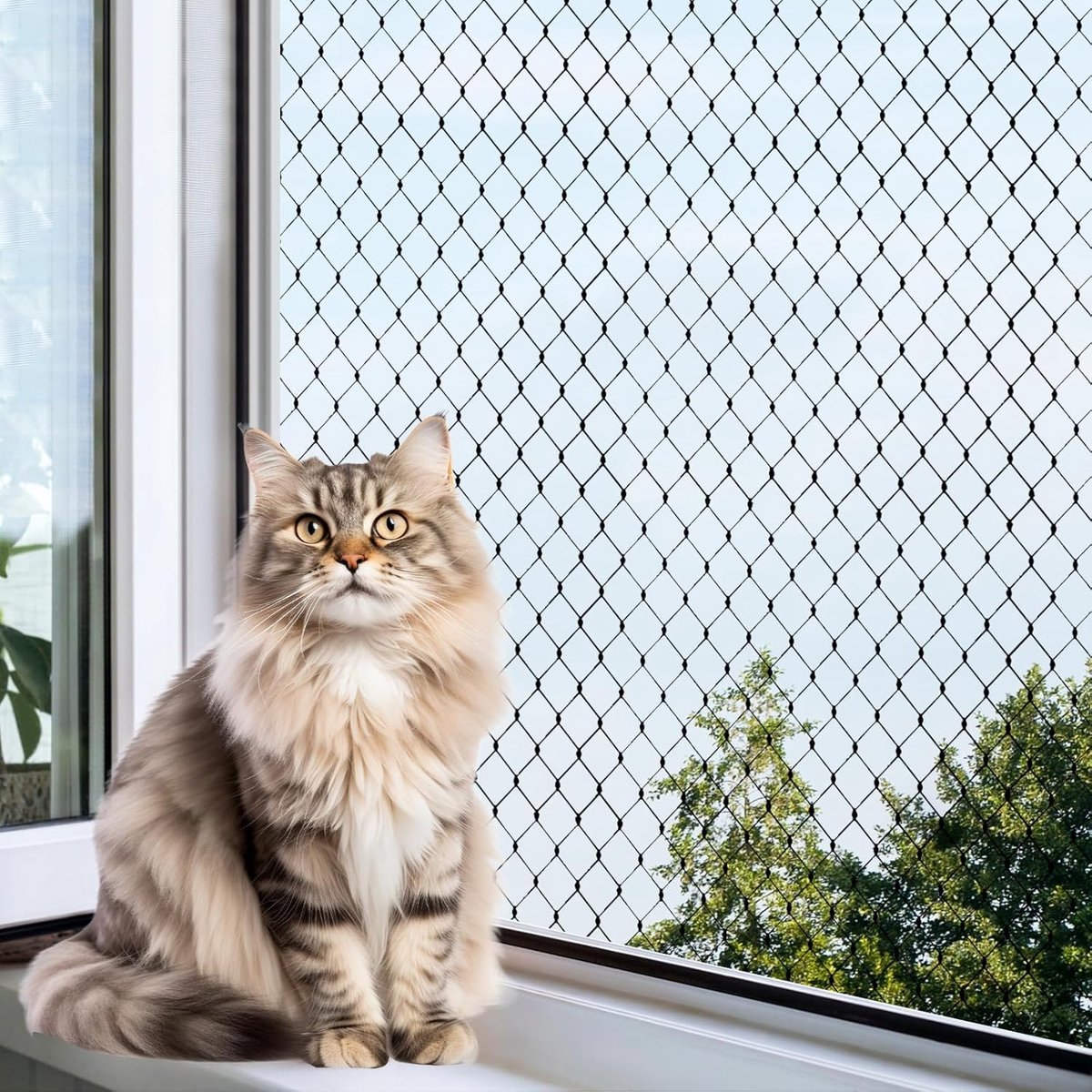 SnelShoppen - Kattennet voor Balkon 3x4 m met Bevestigingskoord en Accessoires - Zwart - Beschermnet voor Balkon, Terras en Raam - Zonder Boren, Veili