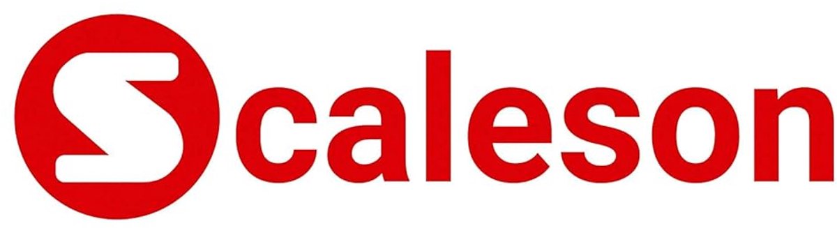 SnelShoppen - SCALESON S120 Compacte Keukenweegschaal - Roestvrijstalen Tafelweegschaal, Splash-proof IP68, Max. 6kg, 1g Precisie, LCD Display
