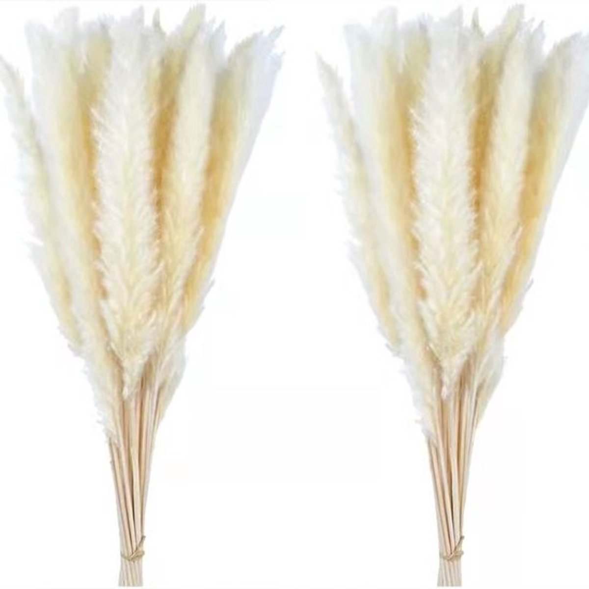 30PCS Gedroogde Pampasgras Pluimen Decoratie, Gesimuleerde Rietbloem DIY Boho Droogbloemen Boeket voor Bruiloft, Thuis, Kerst, Festivals, Jubileum