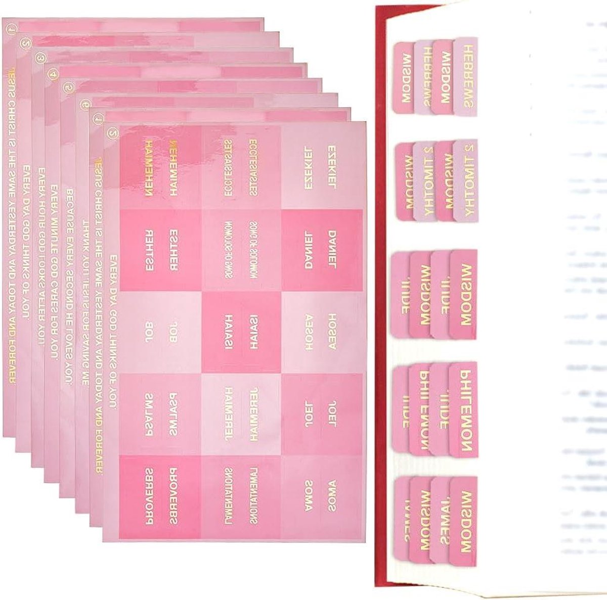 Bijbelregister Tabs - Boek Labels - Bijbel Studie - Herplaatsbaar Ontwerp - 12 Vellen - Roze Goud