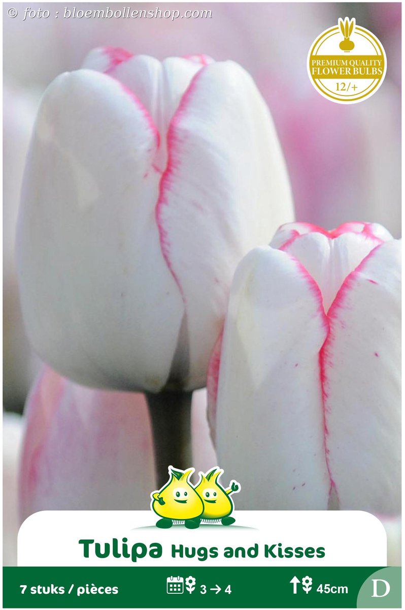 2 Zakjes Triumph Tulpen Hugs and Kisses maat 12/+