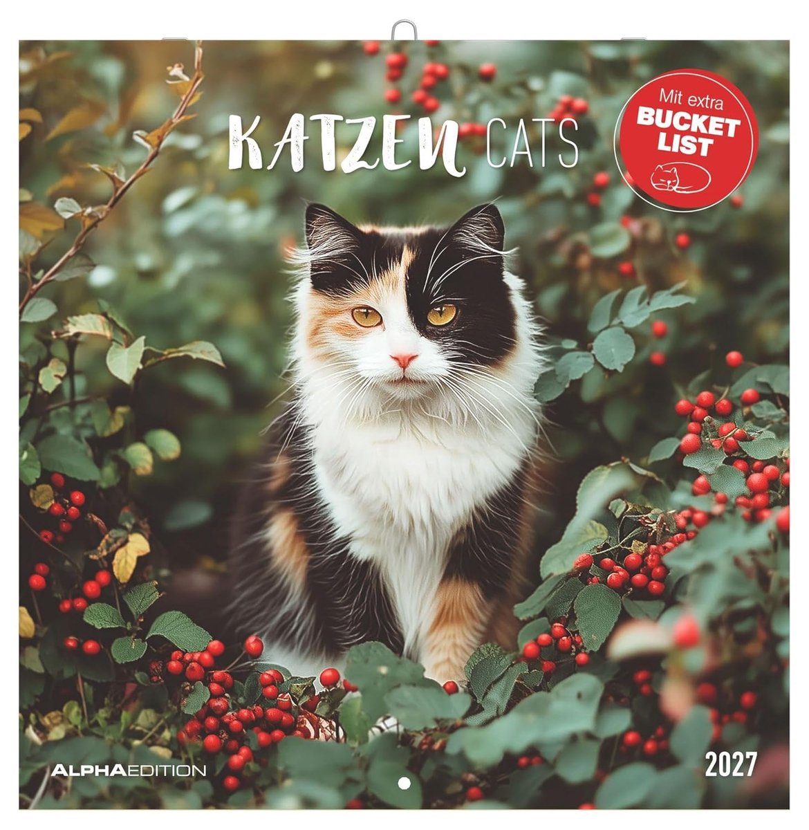 SnelShoppen - Katzen 2027 Wandkalender 30x30 cm (30x60 cm geopend) met Notizkalendarium, 12 prachtige kattenfoto's en Bucket-List voor kattenliefhebbe