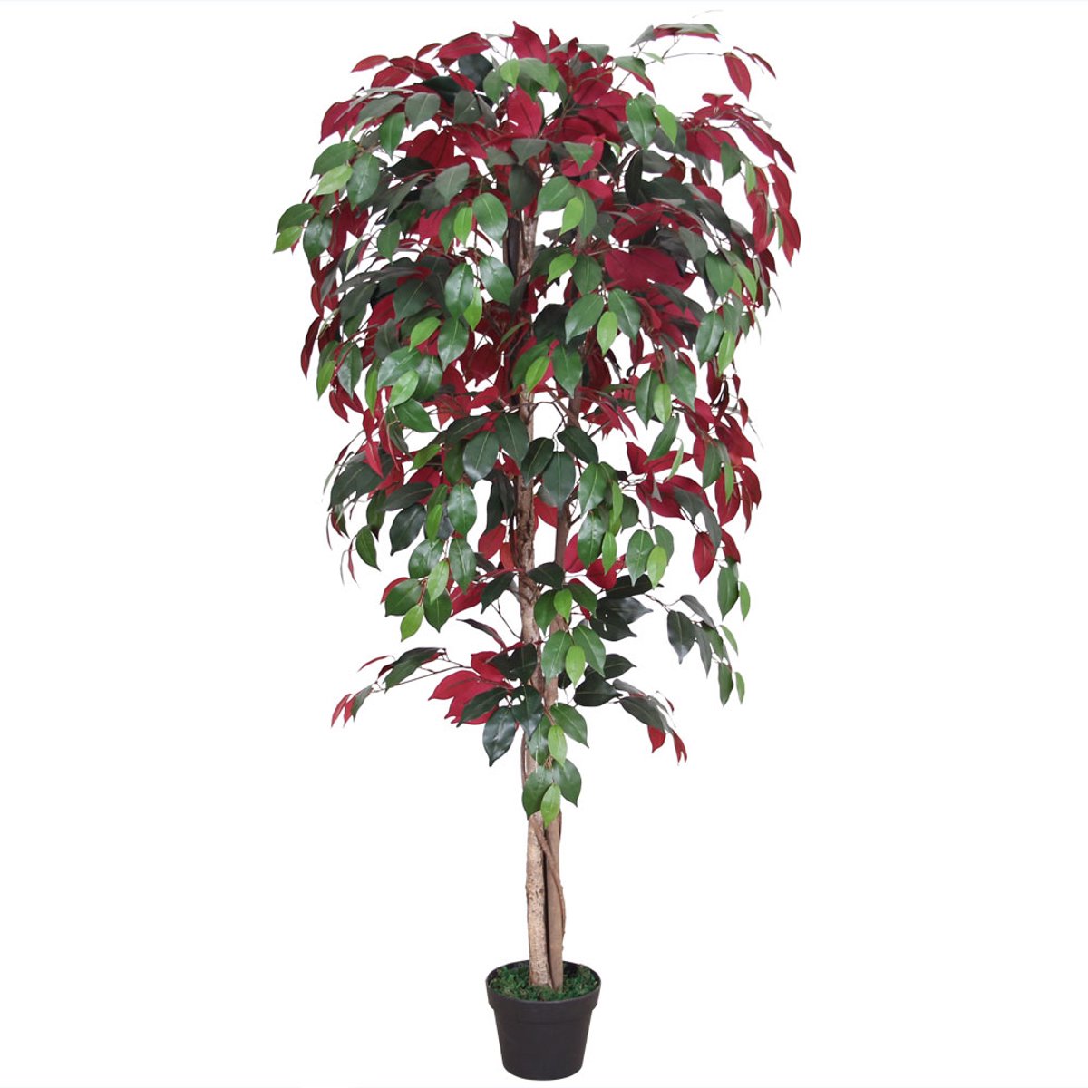 Kunstplant Rode Ficus Benjamin (Treurvijg), Kunstboom, 150 cm, Decovego