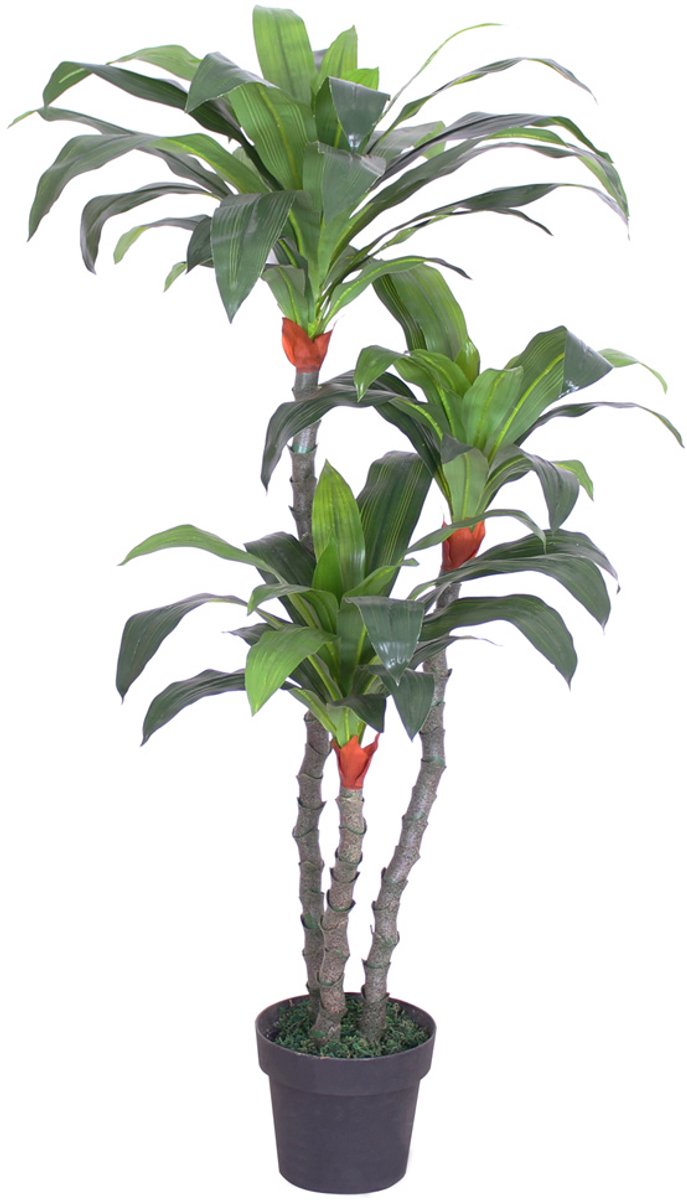 Kunstmatige drakenboom, kunstplant, kunstboom, decoratieve binnendecoratie, 125 cm, Decovego
