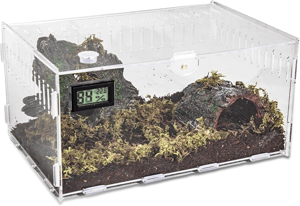 Transparant mini terrarium 30 x 20 x 15 cm voor reptielen, slakken en spinnen - Ideale voedingsbox voor huisdieren