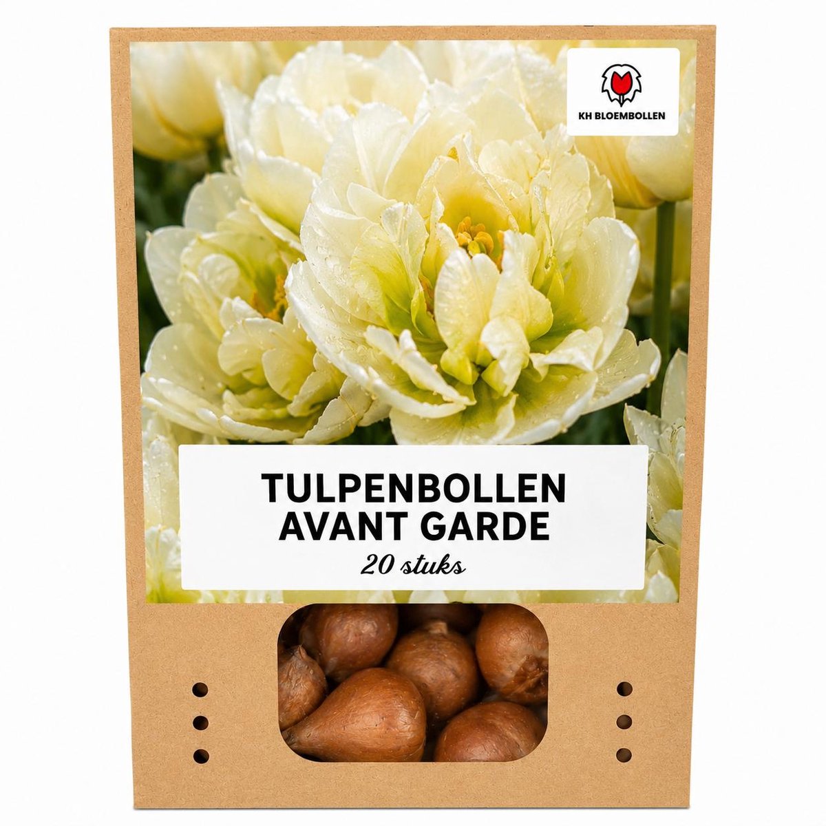 Bloembollen - Avant Garde Tulpenbollen 20 st. - KH Bloembollen - Tulpen - Geel - 20 Stuks - Cadeau - Tuin - Maat 11/12! - Vers van de teler!