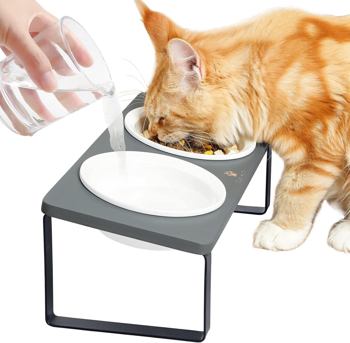 Ergonomisch Katten Voerstation met Verhoogde Voederbak en Keramische Schalen voor Comfortabele Etenservaring