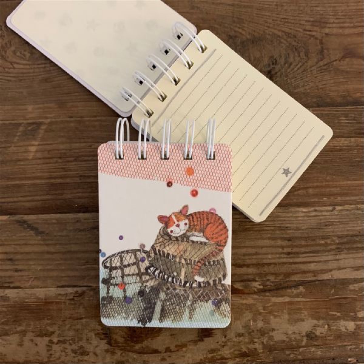 Alex Clark klein spirtaal gebonden notitieblokje kat ~LOBSTER POTS Small Spiral Bound Notepad'