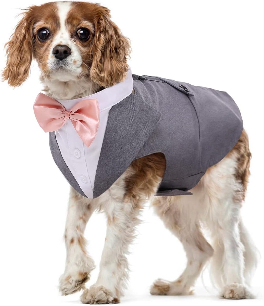 Hondenshirt Puppy Hondenkleding Mode Pak Smoking Vlinderhemd met Stropdas Hond Bruiloft Vlinderdas Pak voor Bruiloftsfeest Halloween Kerstmis Festival Partij(Grijs, M)