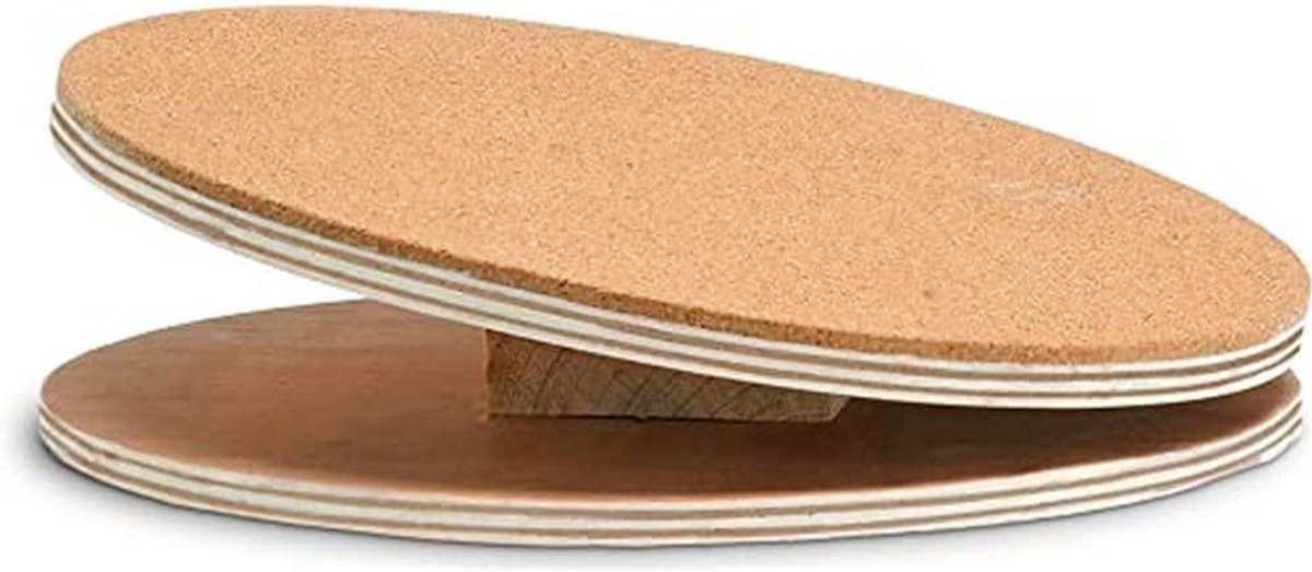 1030510 Bogie Disc houten loopschijf ø: 25 cm