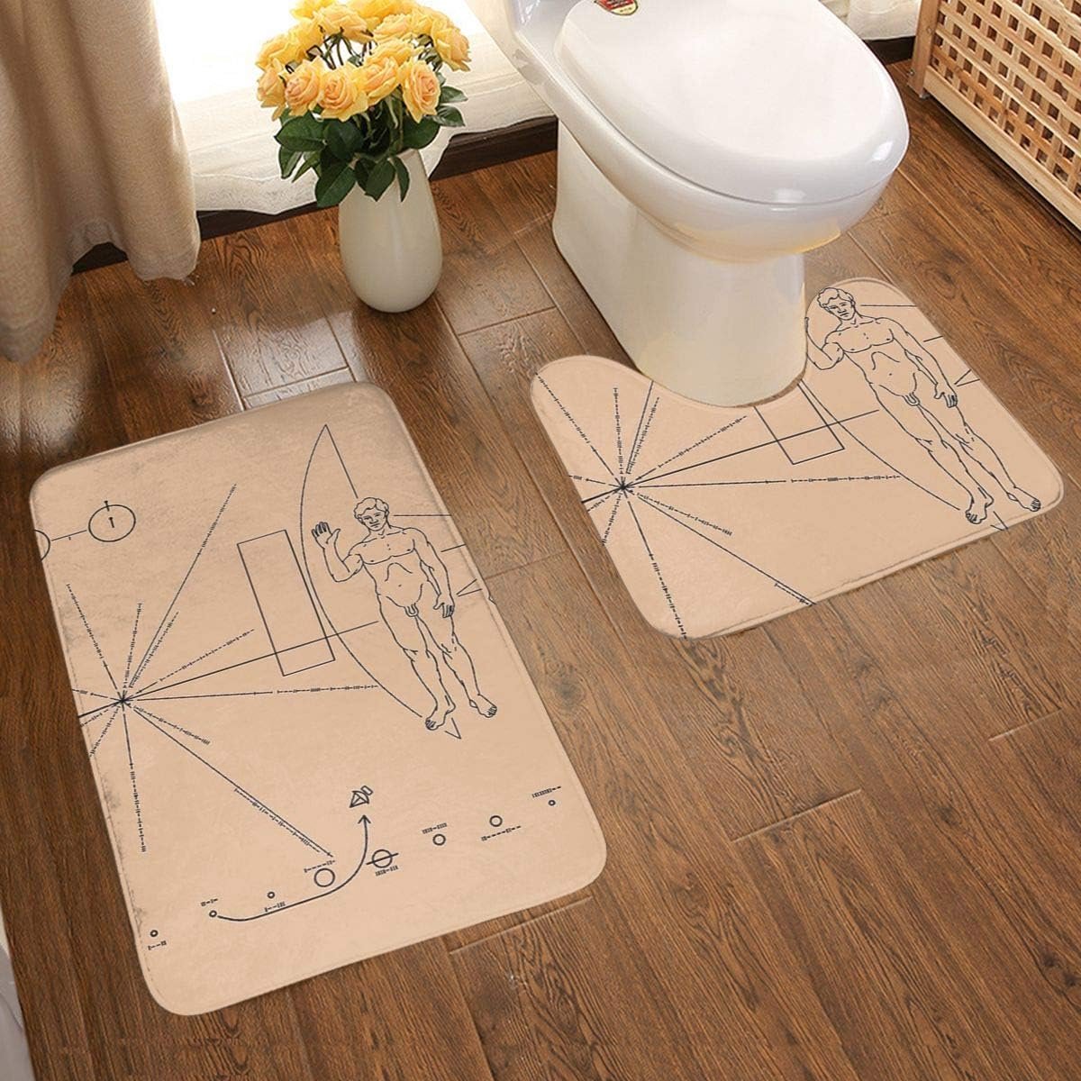 Pioneer Space Craft Plaque Alien Message 2-delige zachte anti-slip badmat set, textuur fotografie inclusief 80x50cm hoge absorptie wc-bril en 50x40cm microvezel zachte pluizige badkamer tapijt, anti-slip mat wasbaar.