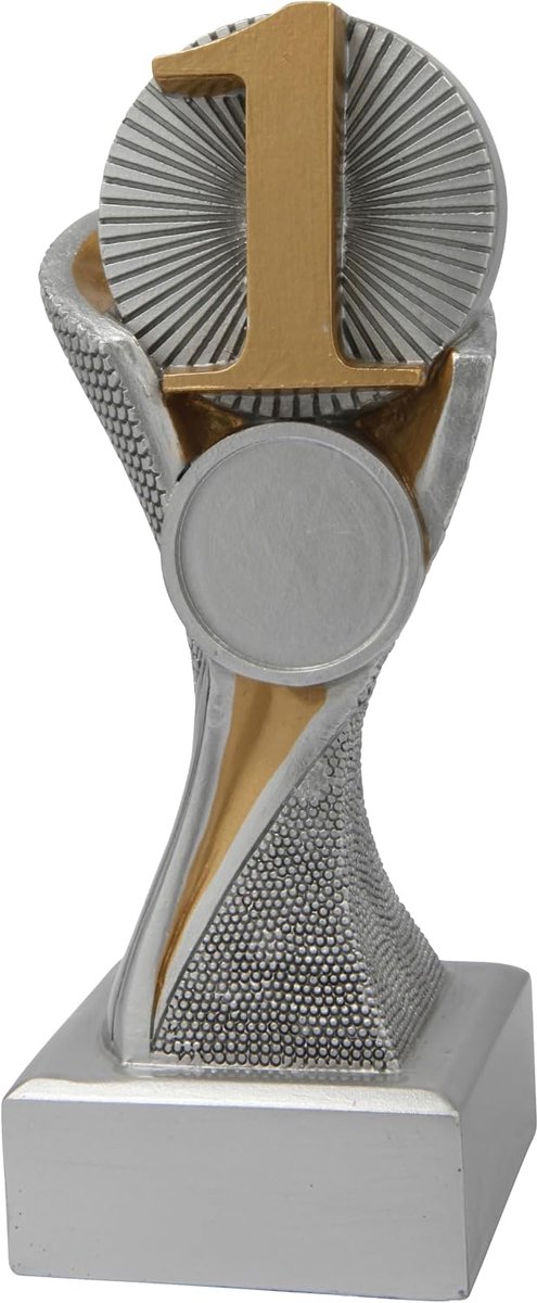 Trofee Nummer 1 Zilver/Goud 15 cm Eerste Prijs Vis Wedstrijd Viswedstrijd Vissen