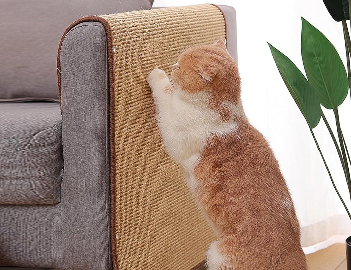 2 x krabmat voor katten, sisal-krabmat voor katten, krasbescherming bank, kat, sisalmat, krabpads voor katten, duurzaam kattenmeubel-deurmat, 30 x 40 cm