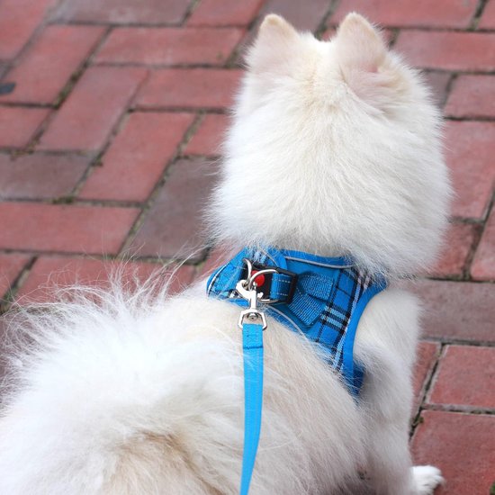 Kleine honden met riem, anti-trektuig Reflecterend ademend borsttuig, puppytuig voor kleine, middelgrote honden (S, Blauw geruit) — afbeelding 4