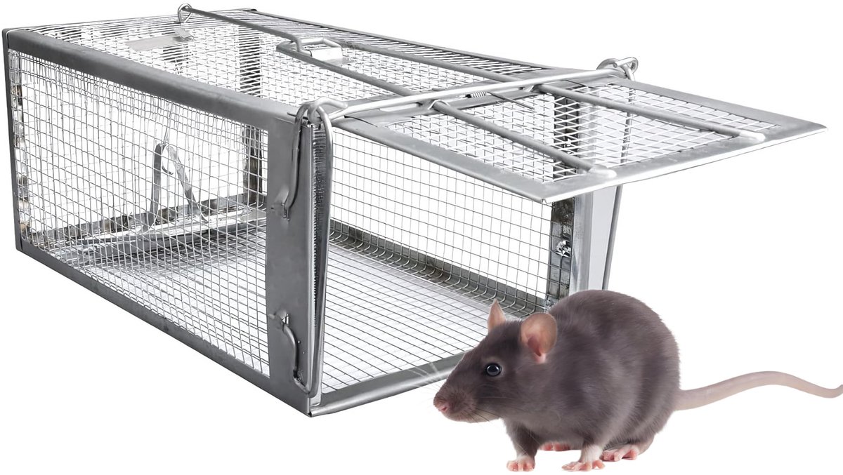 Dailygoods - Live Trap Muizenval voor binnen en buiten, veilige muizenbestrijding