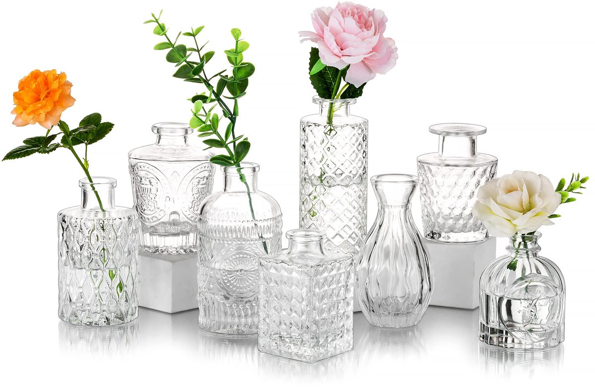 Dailygoods - Mini Glazen Vazen Set van 8 - Vintage Bud Vazen voor Bloemen