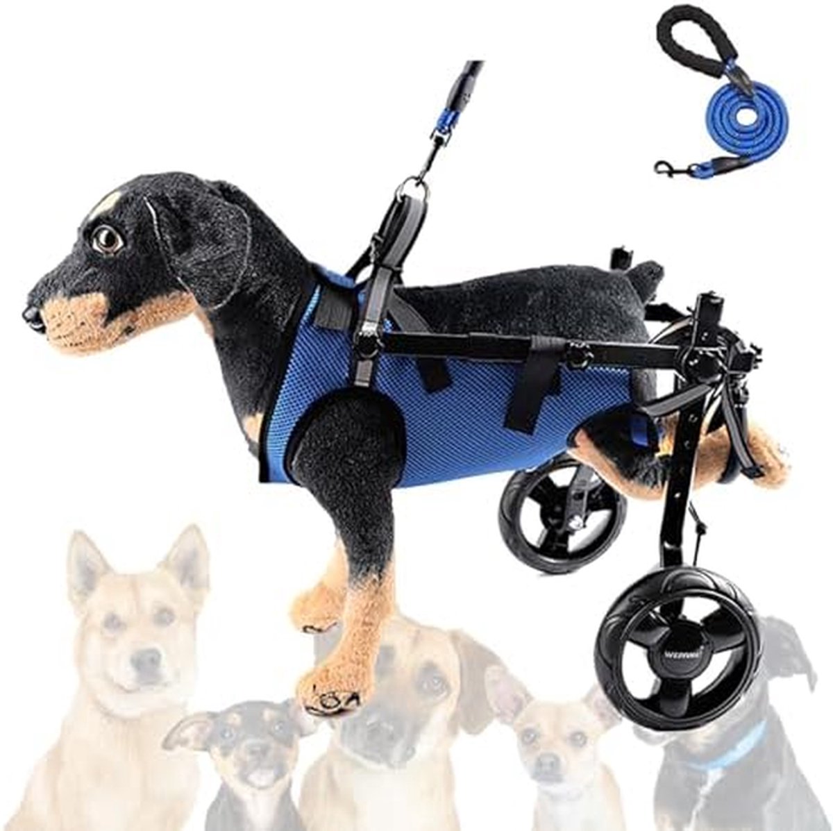 Honden Rolstoel - Mobiliteitshulp Huisdier - Ondersteuning Lopen - Verstelbaar Ontwerp - Diverse Maten - Zwart
