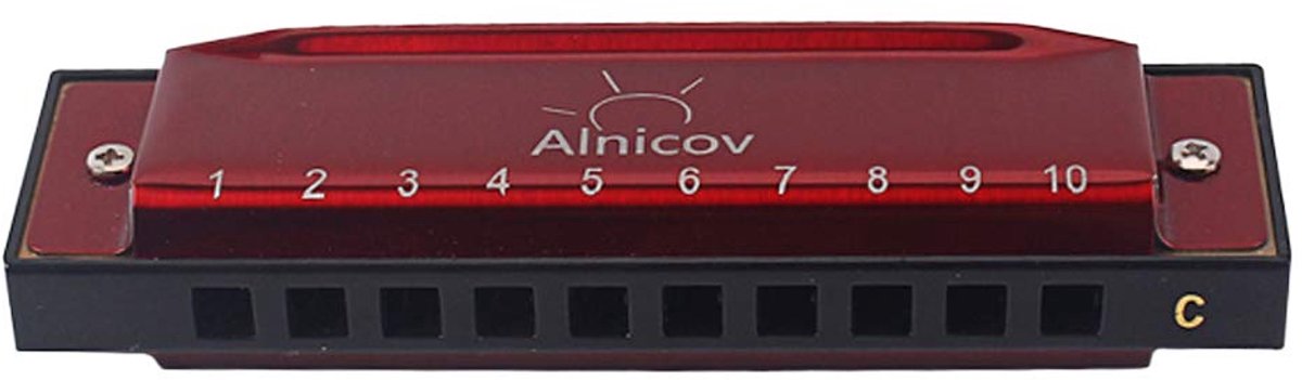 Dailygoods - Harmonica - 10 Holes - Professioneel en Beginner - Rood - Blues Harmonica - Inclusief Case en Schoonmaakdoek - Geschikt voor Kinderen en...
