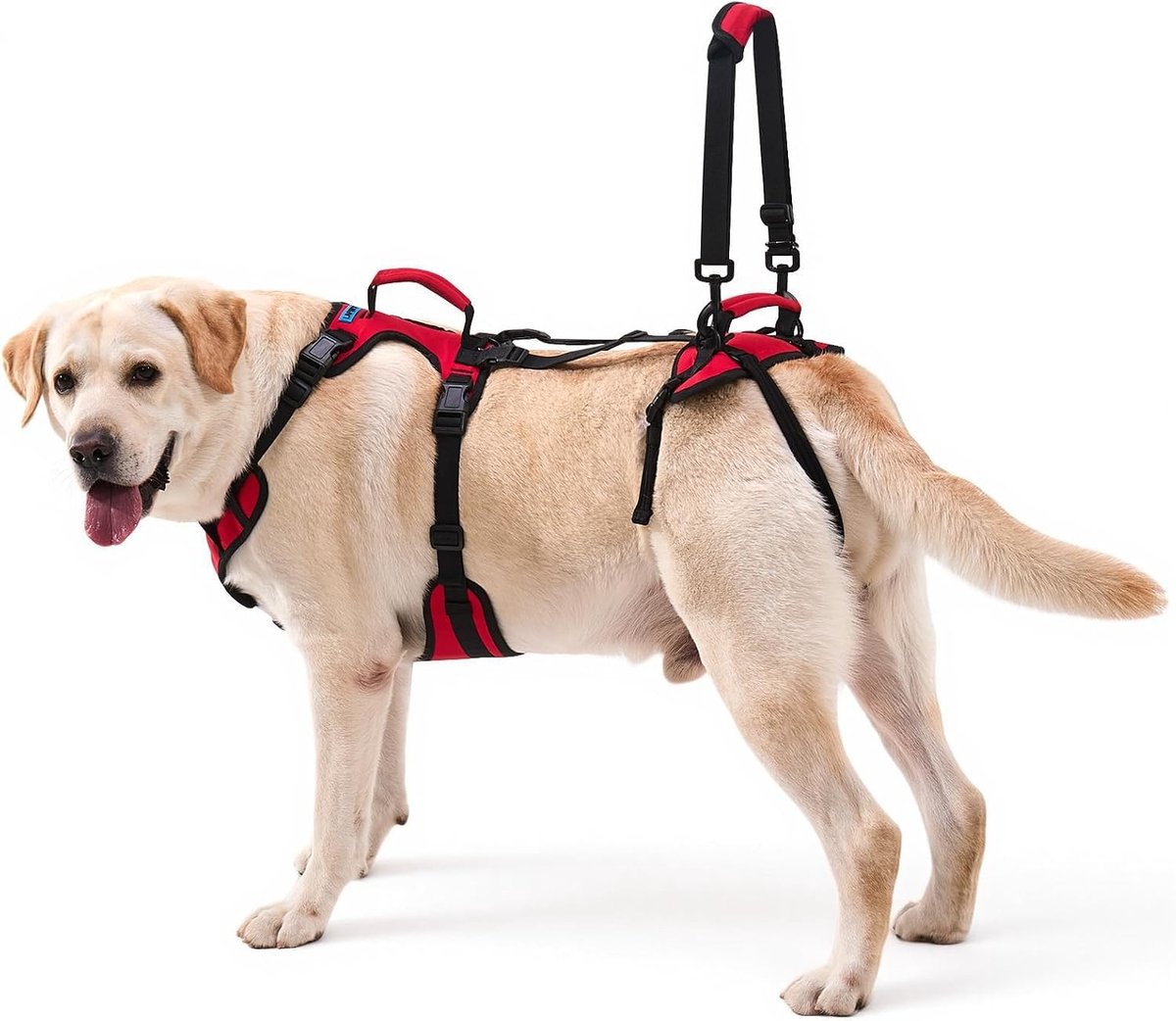 Hondentuig voor Grote Honden, Volledig Ondersteunend Tuig voor Traplopen en Achterpootzwakte, Wandelhulp voor Oudere Honden, Comfortabel en Duurzaam