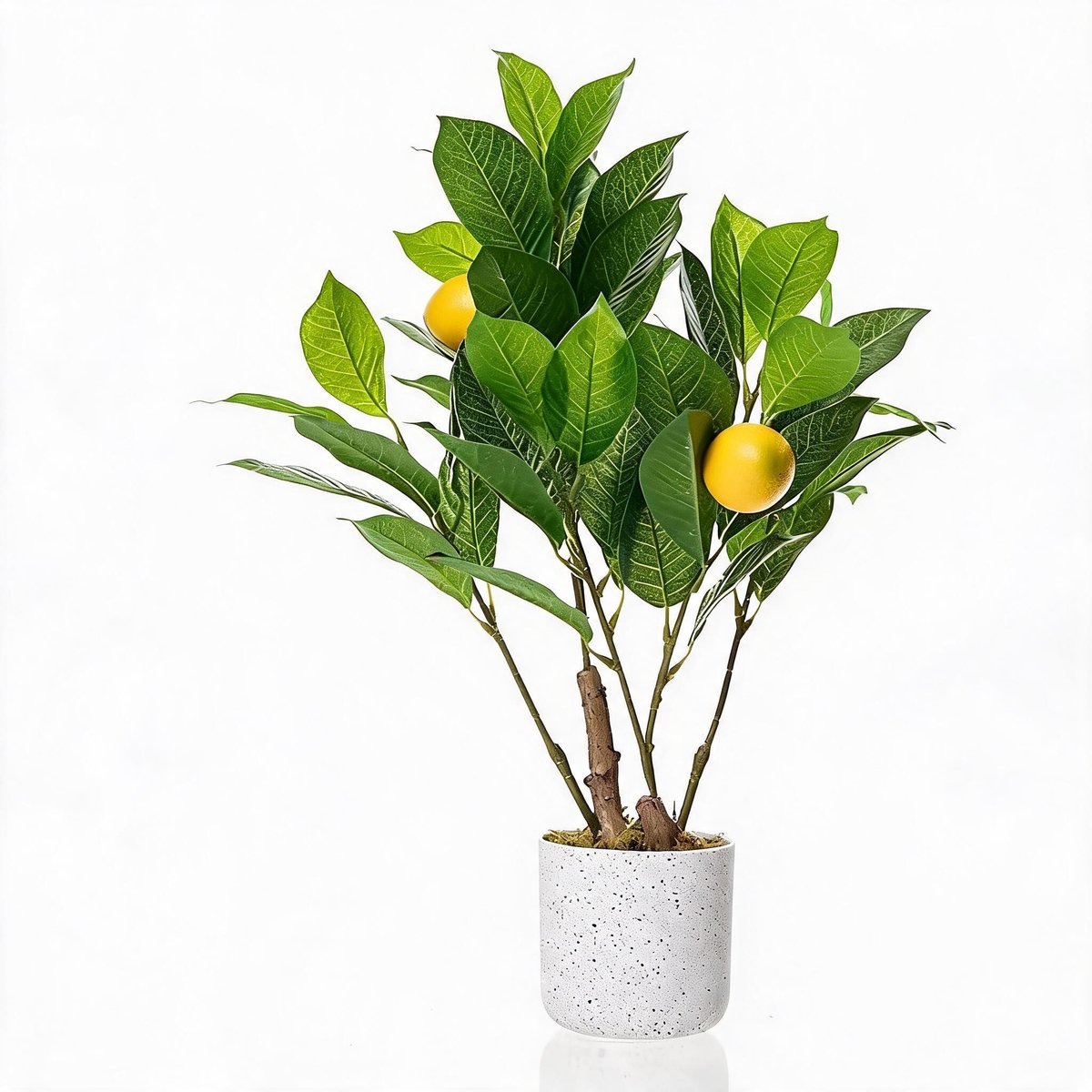 Danky decoratieve kunstcitroenplant set 2 stuks 50 cm PEVA - kunstplanten met citroenen voor thuis en kantoor