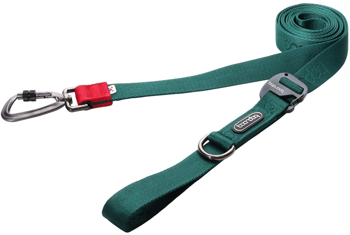 Boondog Hondenriem 3.2m - Verstelbaar - Multifunctioneel - Extra Sterke Nylon Riem - Meer Bewegingsvrijheid - Karabijnhaak - Green - Maat L
