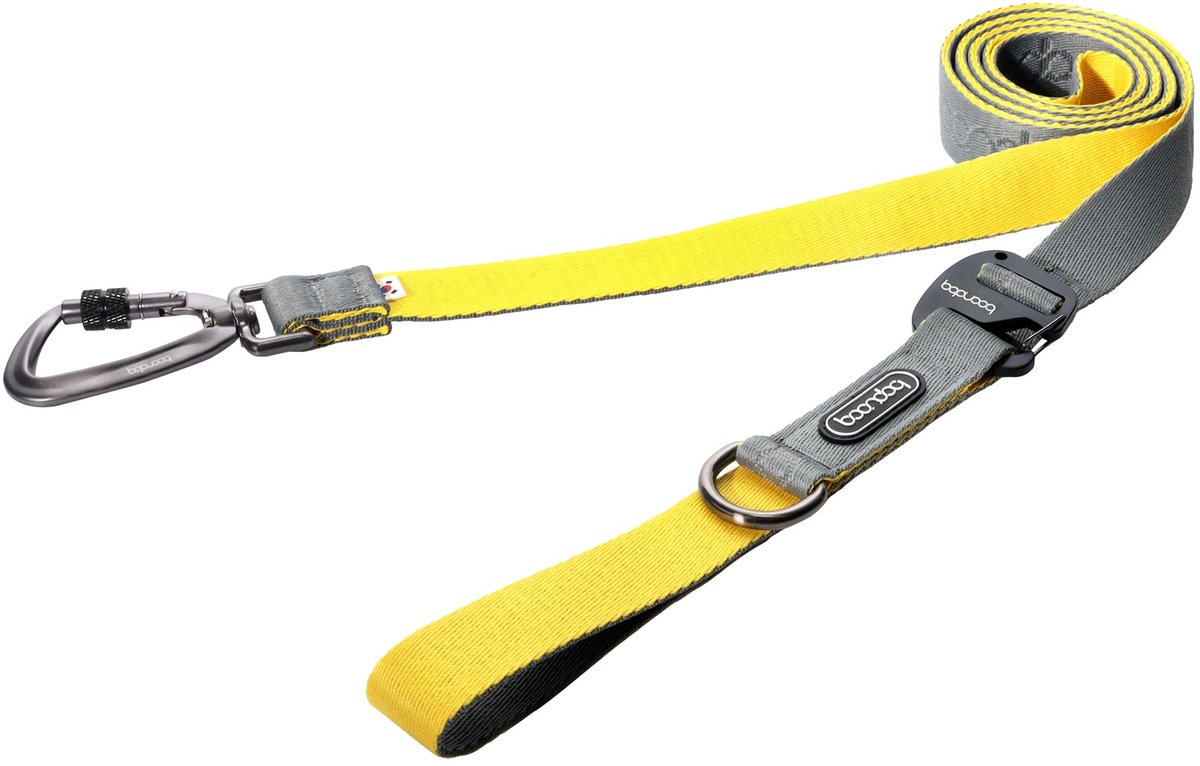 Boondog Hondenriem 3.2m - Verstelbaar - Multifunctioneel - Extra Sterke Nylon Riem - Meer Bewegingsvrijheid - Karabijnhaak - Gray/Lemon - Maat S