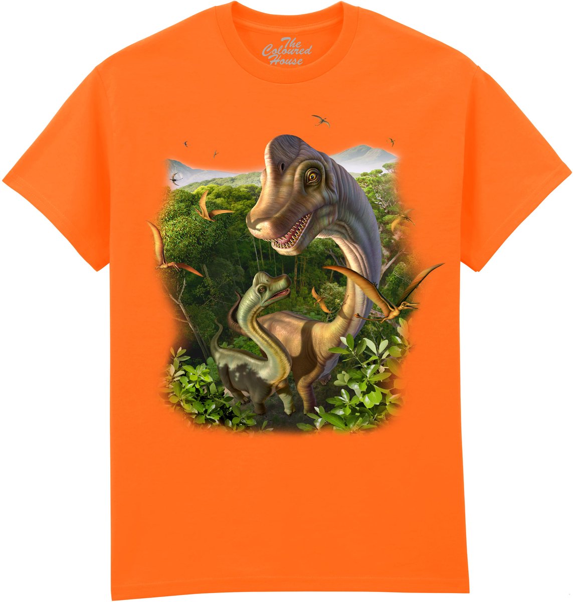 Dinosaurus Mothers Protection The Coloured House T-shirt S