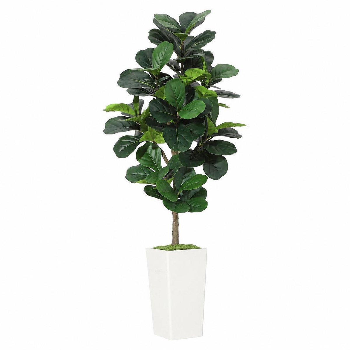 150cm Realistische kunst-Vioolbladvijgboom – kunst-Ficus Lyrata met buigbare takken, witte sierpot, onderhoudsarme vloerplant voor binnen, thuis, kantoor en woonkamer