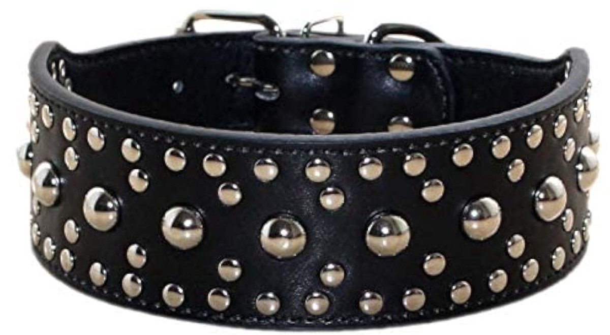 SolidKeus - Leren Hondenhalsband met Studs, Maat M en L
