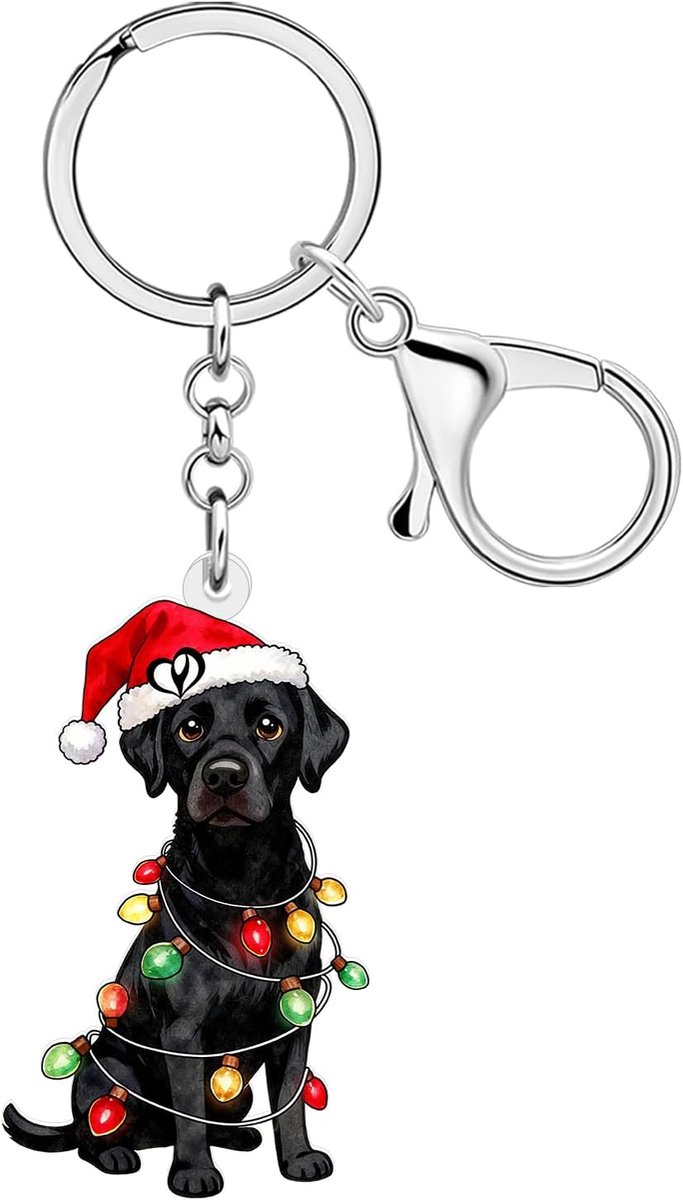 Leuke sleutelhanger voor Kerstmis, vakantiecadeaus voor hondenliefhebbers, dames, meisjes, acryl puppy's, huisdieren, sleutelring, autosleutel, accessoires