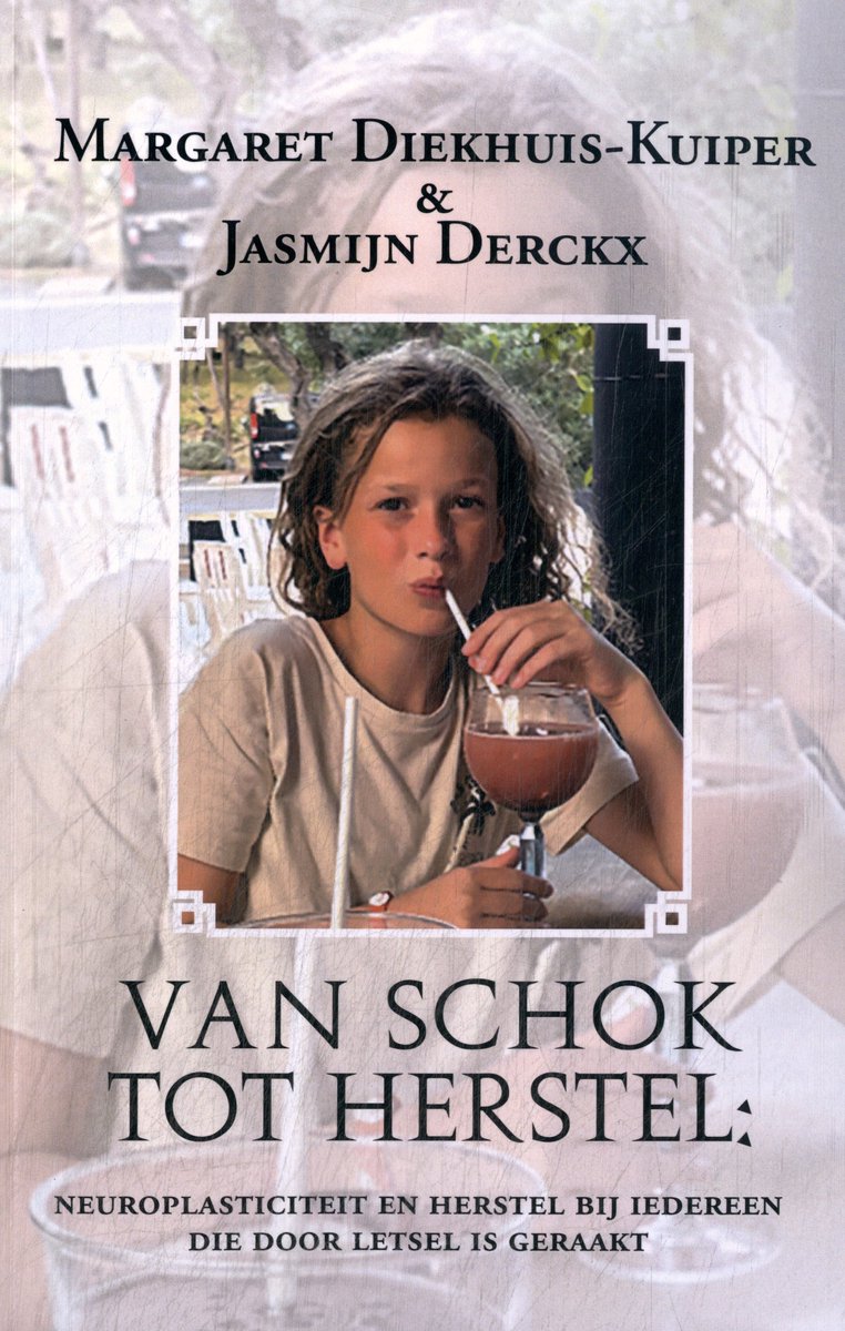 Van Schok Tot Herstel