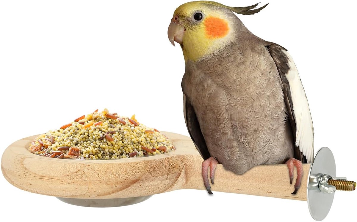 Vogelbaars met Vogelvoerbeker, Houten Papegaaienbaars voor Kooi Massief Parkietenzitstokken Vogelkom Vogelkooiaccessoires voor Parkieten Valkparkieten Conures Lovebirds Parkieten