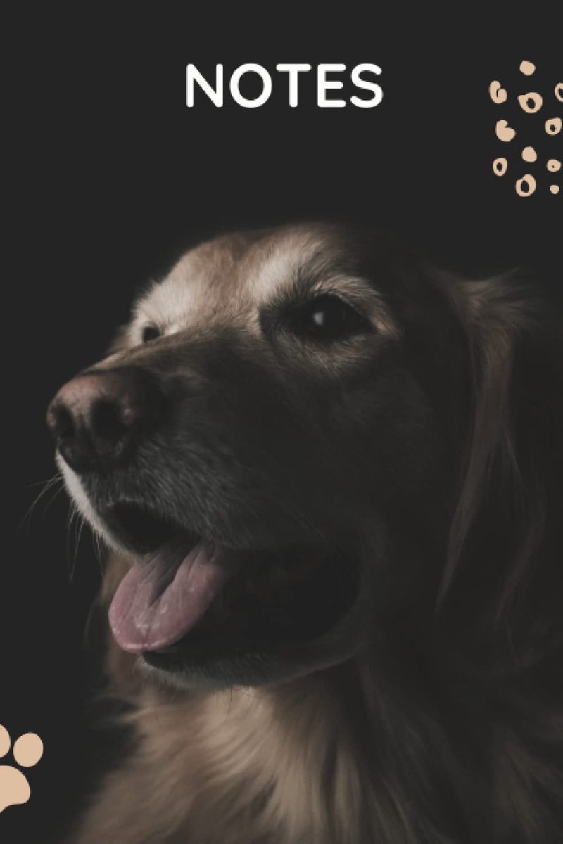Carnet de notes Labrador: Carnet de notes chiens Labrador 6 x 9 Pouce