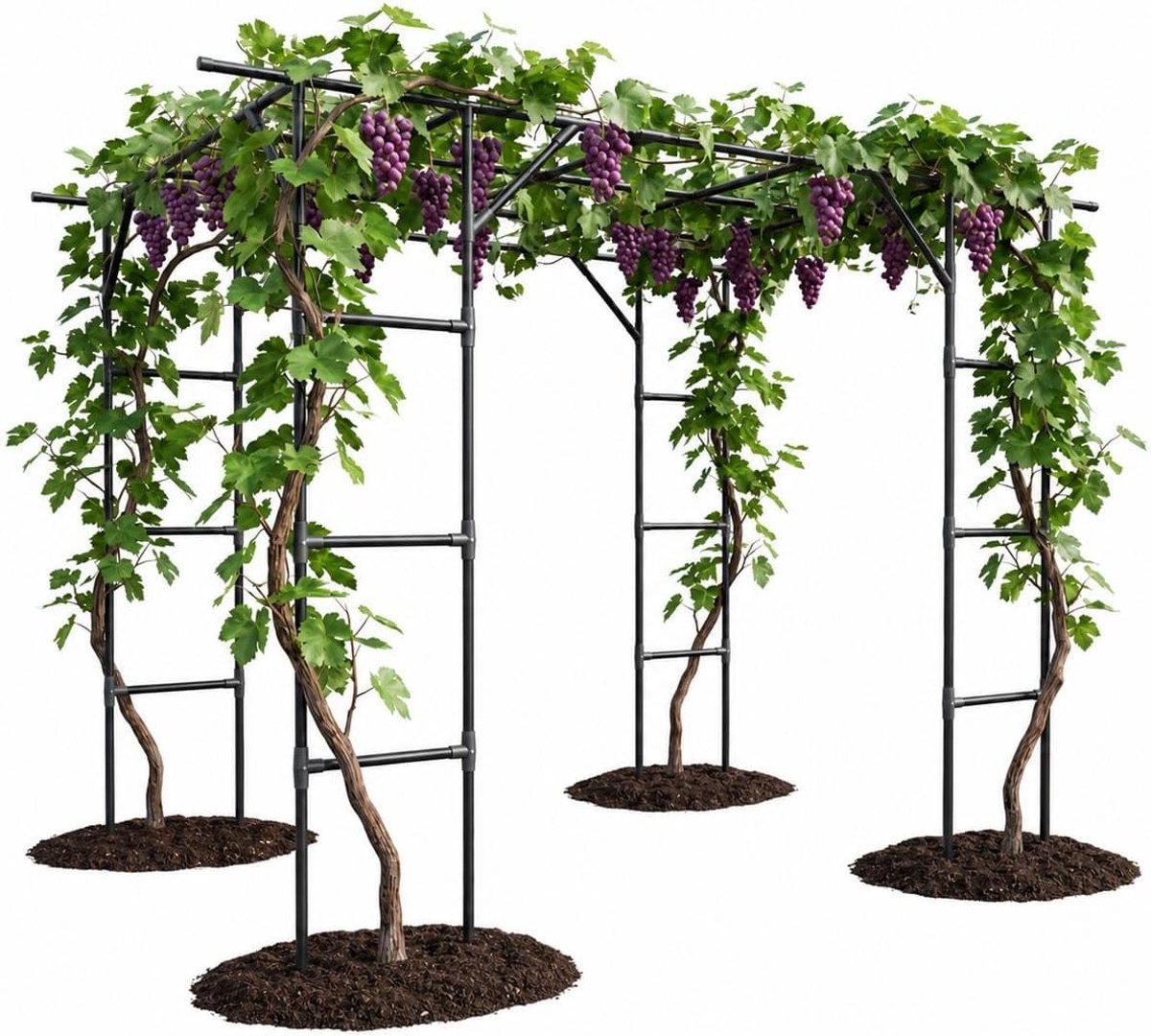 Groot tuinrek – Roestvrij stalen plantensteun met PE-coating – voor komkommers, tomaten en rozen – Multifunctioneel rek – Weerbestendig – Eenvoudig te monteren