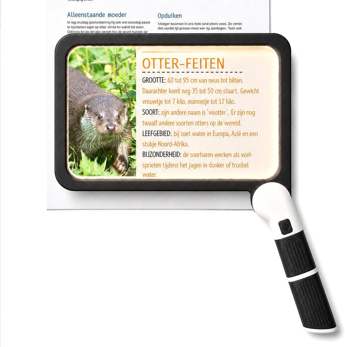 DOWO Vergrootglas met verlichting - Leesloep met extra groot leesvlak - Verbeterde lens voor helder zicht - 3 lichtstanden - Lichtgewicht ontwerp