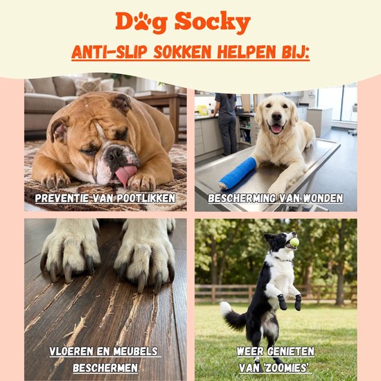 Collage van honden: voorkomen van likken, beschermen van wonden, vloeren en meubels, weer genieten van 'zoomies'.