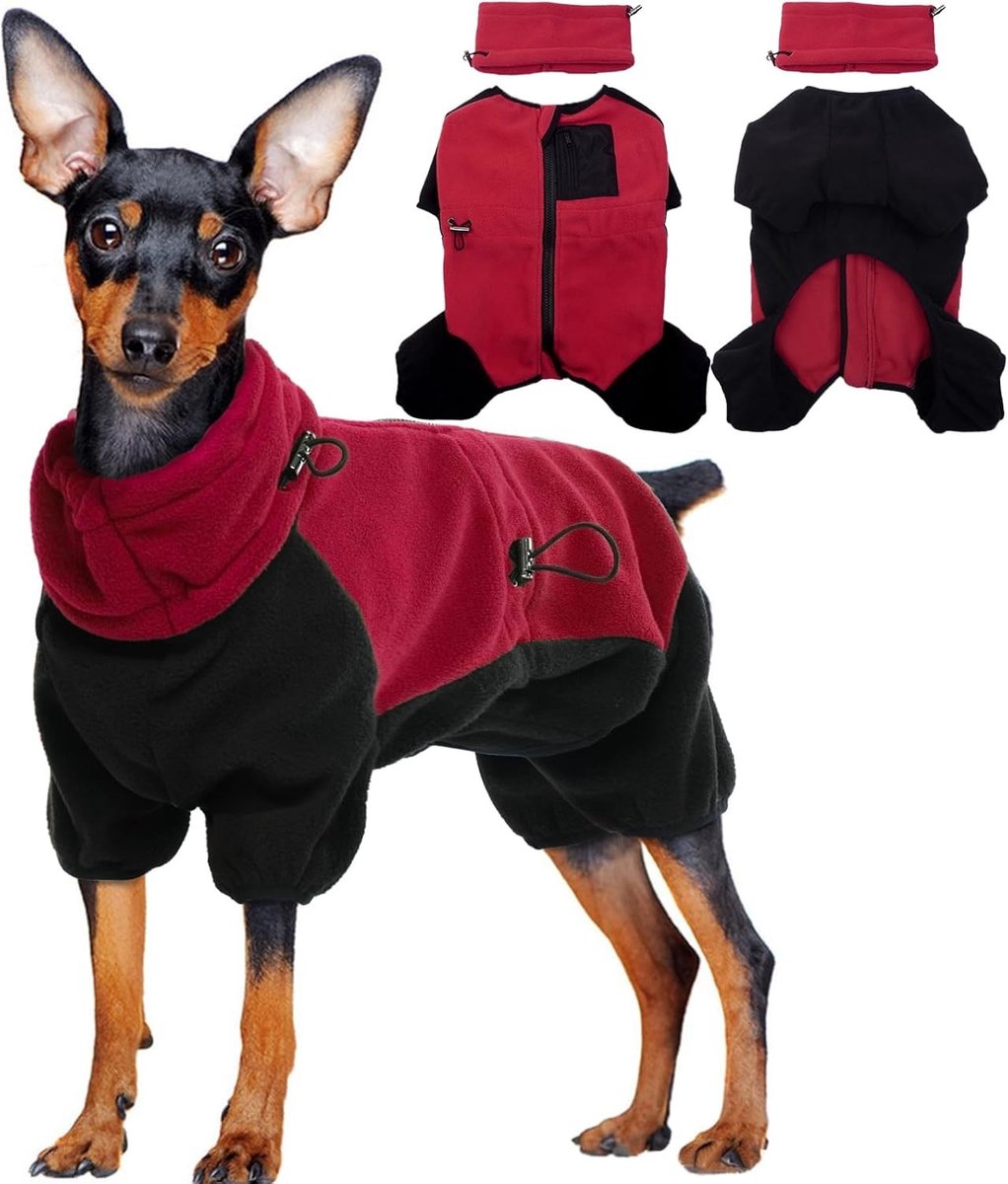 Winterjas voor Honden, Warme Fleece Pullover met Afneembare Sjaal en Oorwarmers, Ideaal voor Kleine en Middelgrote Honden, Perfect voor Koude Dagen en Buitenactiviteiten