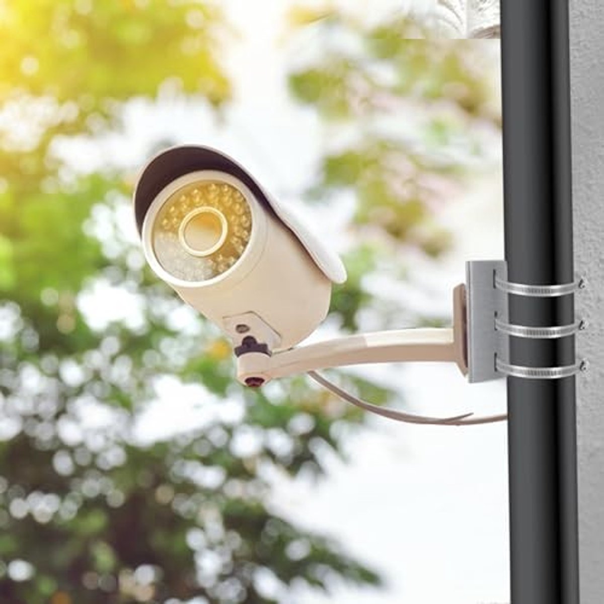 Set van 2 Beveiligingscamera Mastbeugels - met 6 Verstelbare Lussen